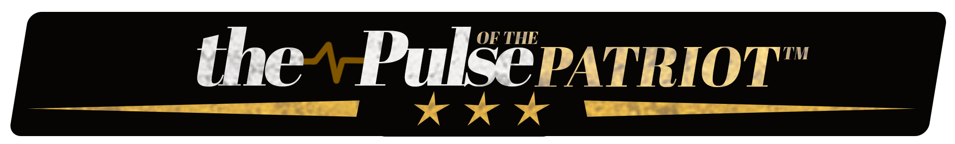 PULSE OF THE PATRIOT BANNER