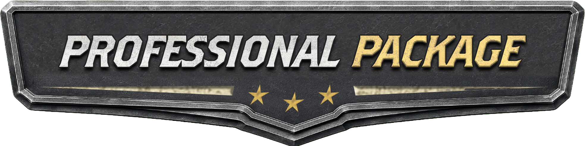 PROFESSIONAL