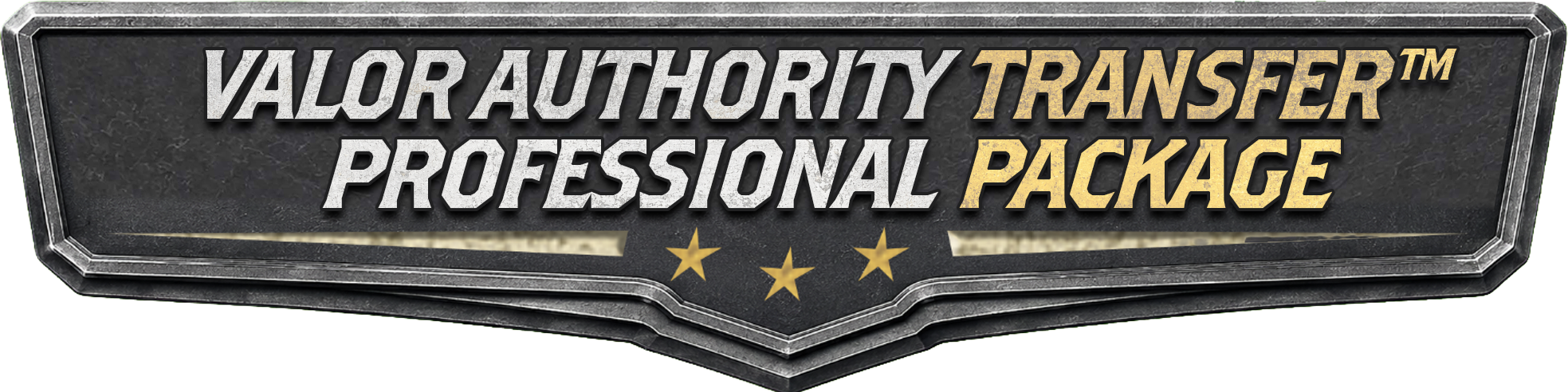 VALOR AUTHORITY PROFESSIONAL PACJAGE